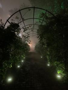 Фотография Александровский парк 4