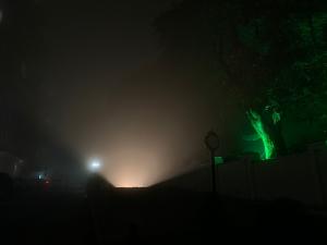 Фотография Александровский парк 5
