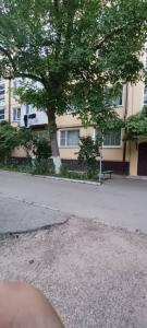 Фотография Авторитет 1