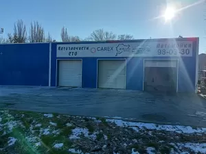 Фотография Carex parts 3