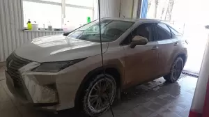 Фотография Carex parts 4