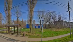Фотография Carex parts 5