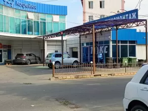 Фотография Токс 3